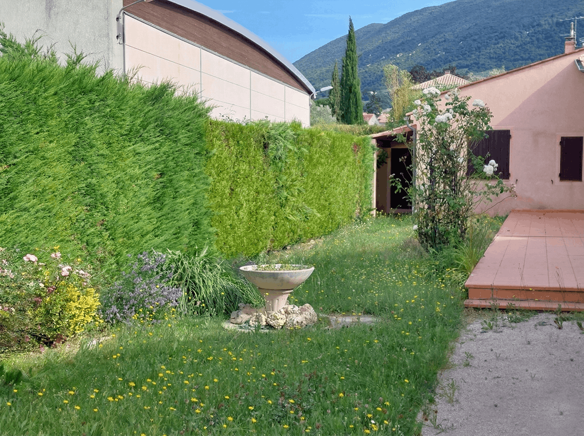 photo-avant-cypresv (1)